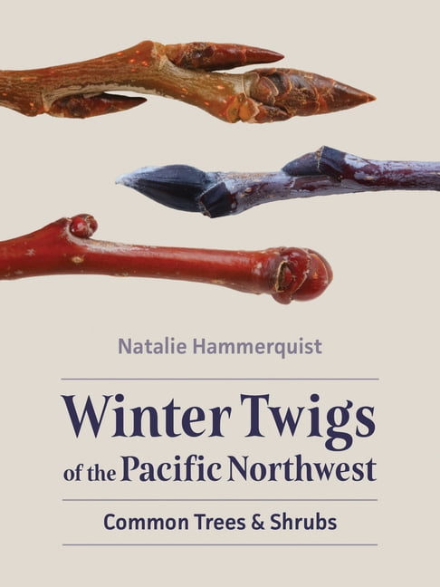 Winter Twigs of the Pacific Northwest: Common Trees and Shrubs ...