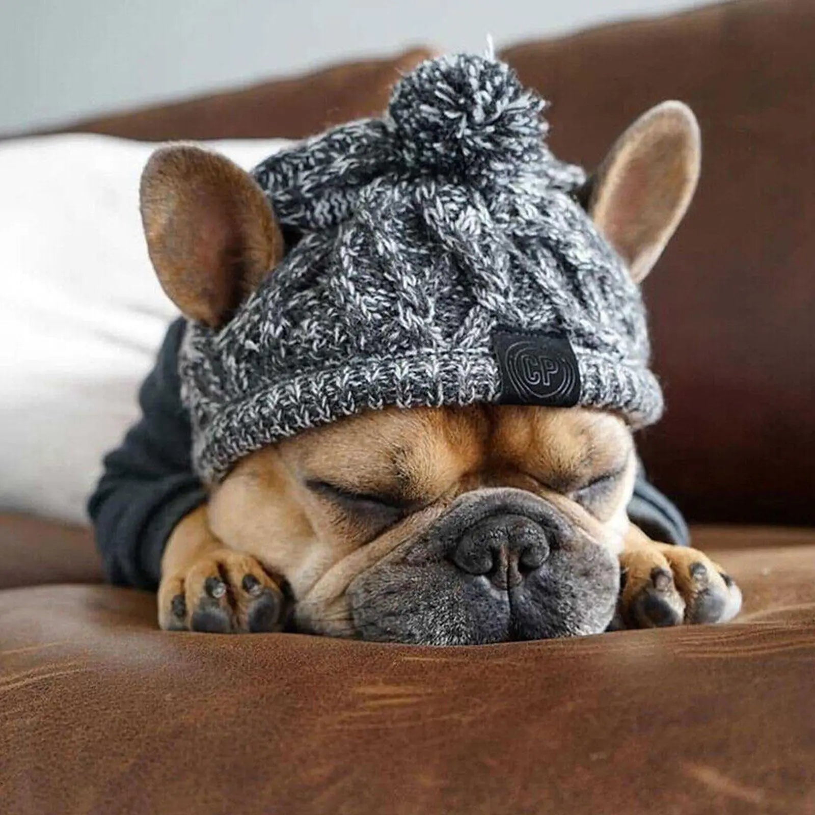 Winter Warm Dog Hats Windproof Knitting French Bulldog Hat For Dogs Chihuahua Hat Fluffy Ball Pet Hat Puppy Accessories Walmart