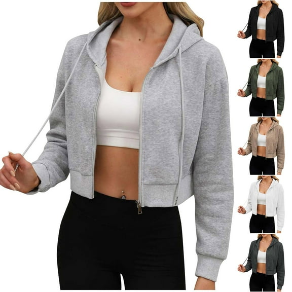 Winter Warm Hoodies For Women Lapel Loose Solid Long Sleeved Casual Zipper Gray Hoodies Sweatshirt (L)