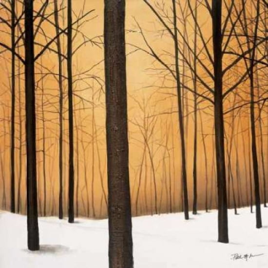 Winter Warmth Canvas Art - Patrick StGermain (24 x 24)