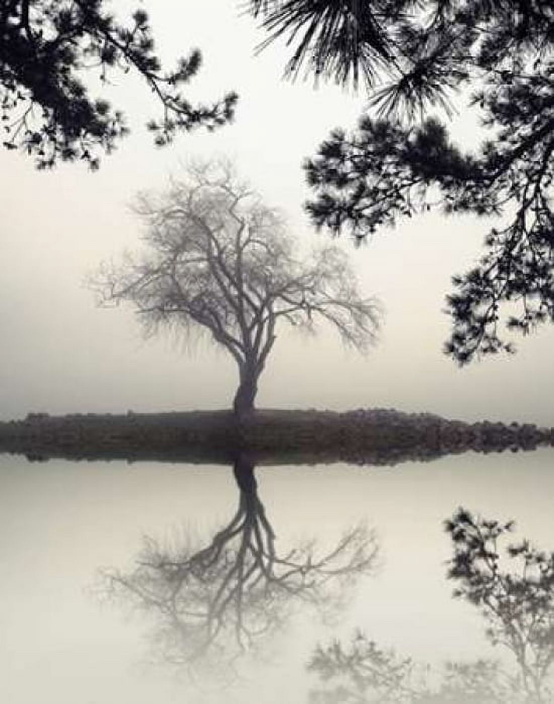 Winter Willow Canvas Art - Nicholas Bell (22 x 28)