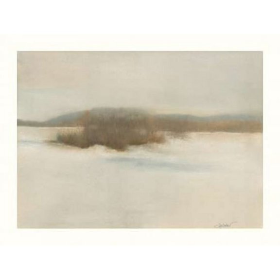 Winter Willows Poster Print by Sammy Sheler (11 x 14)