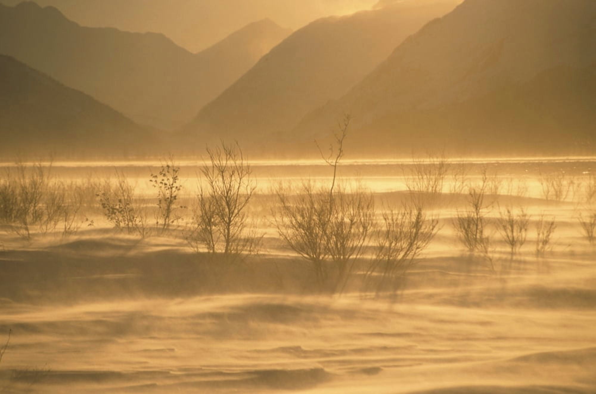 Winter Wind Storm W Blowing Snow Turnagian Arm Sc Ak Winter Scenic Canvas Art - Hal Gage Design Pics (17 x 11)