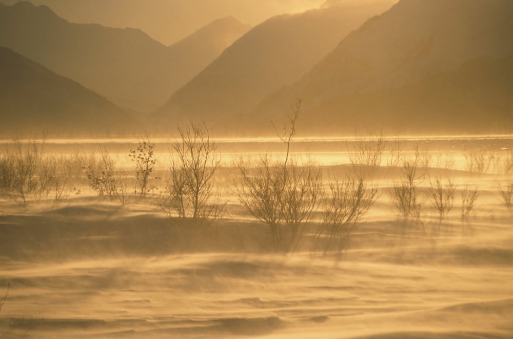 Winter Wind Storm W Blowing Snow Turnagian Arm Sc Ak Winter Scenic Canvas Art - Hal Gage Design Pics (34 x 22)