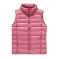 thumbnail image 1 of Winter Women Vest Coat Thickened Padded Zipper Closure Stand Collar Sleeveless Solid Color Windproof Heat Retention Outdoor Down Waistcoat, 1 of 8