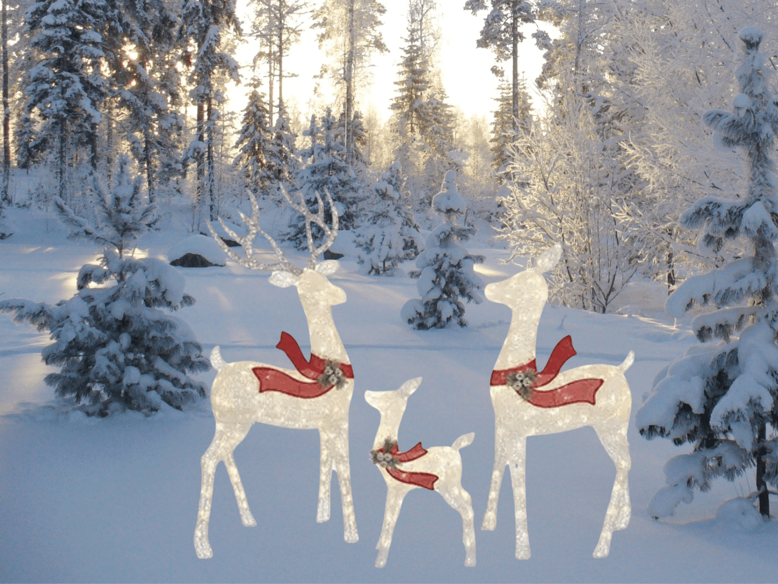 Winter Wonder Lane 3 piece White LED Deer Family With Bells and