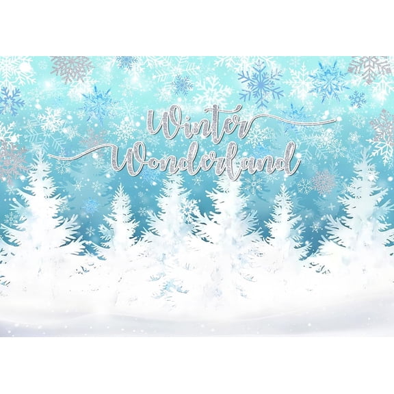 Winter Wonderland Backdrop Blue Snowflake Winterland 1st Birthday Photography Background Winter Snow Birthday Baby Shower Party Decorations Banner Supplies Photo Booth Props