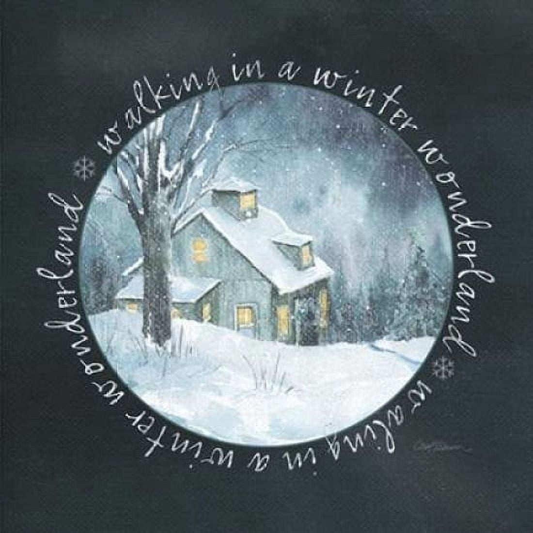Winter Wonderland Canvas Art - Carol Robinson (24 x 24)