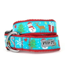 Winter Wonderland Collar