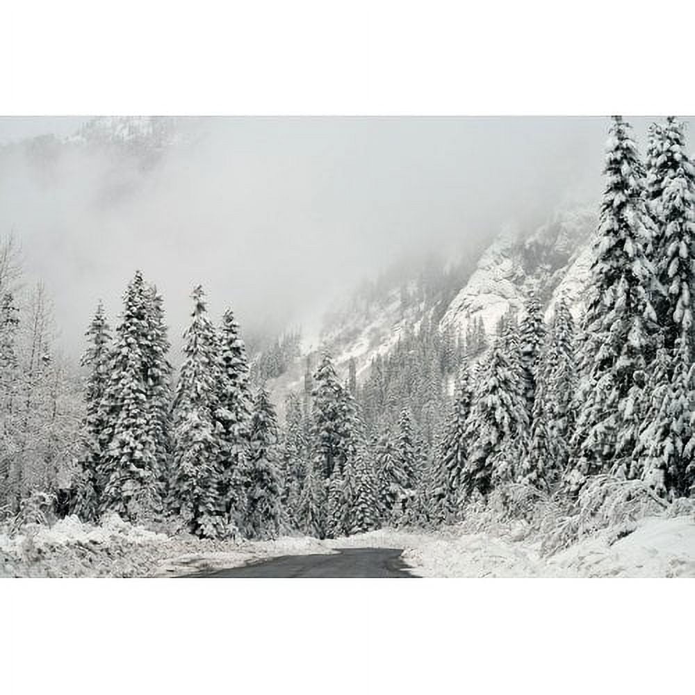 Winter Wonderland White Canvas Landscape Print with Wood Frame