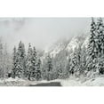 thumbnail image 1 of "Winter Wonderland" Painting Print on Wrapped Canvas, 1 of 7