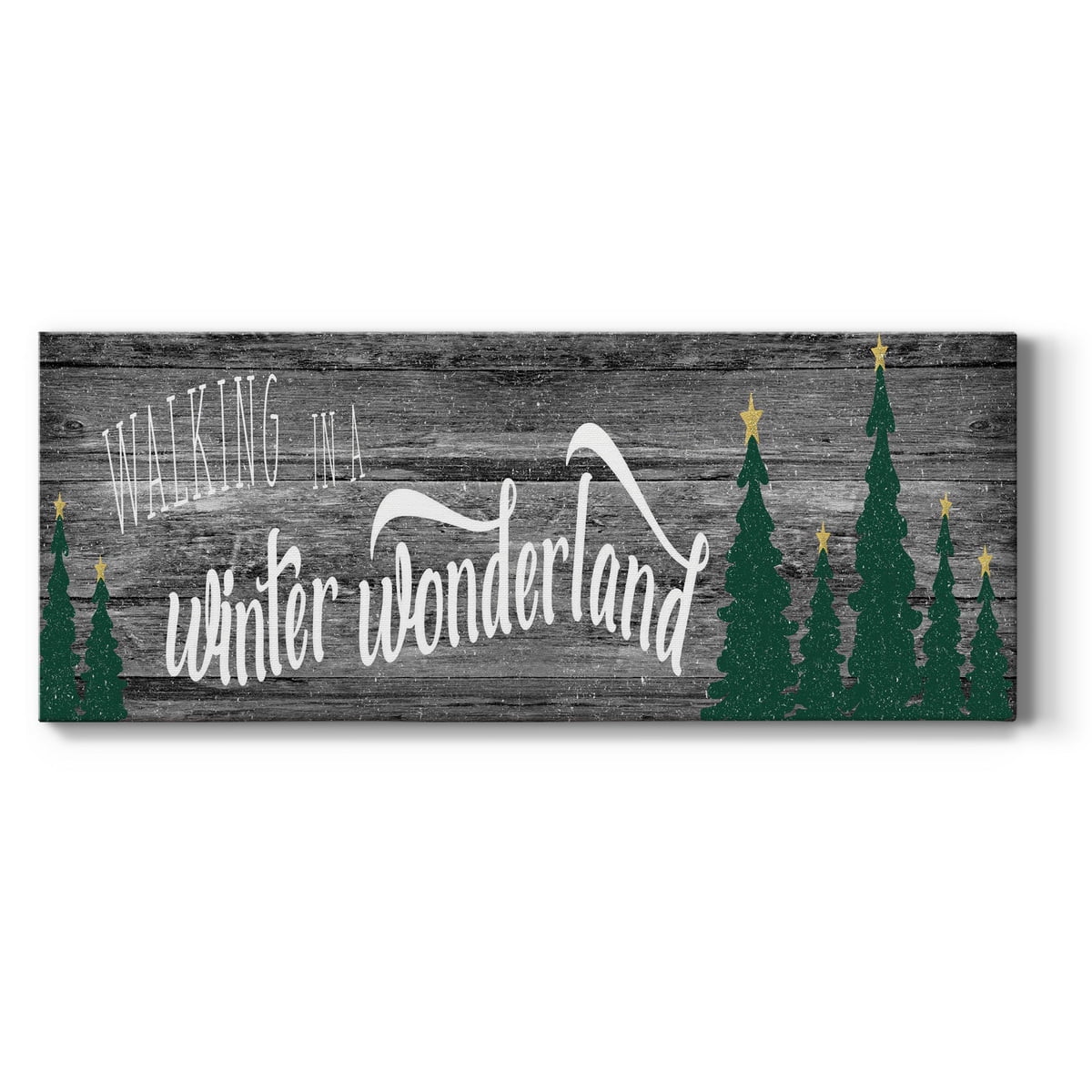 Winter Wonderland Premium Gallery Wrapped Canvas - Ready to Hang