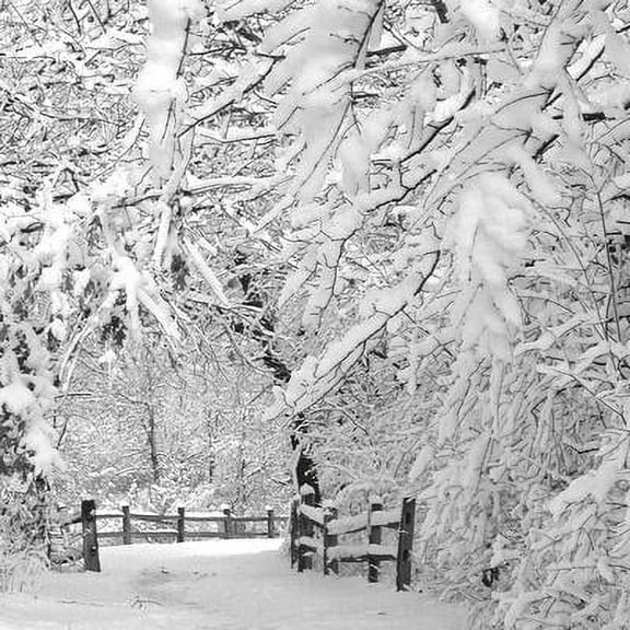 Winter Wonderland, Scenic Seasons Unframed Photographic Print Wall Art by Incredi Sold by Art.Com