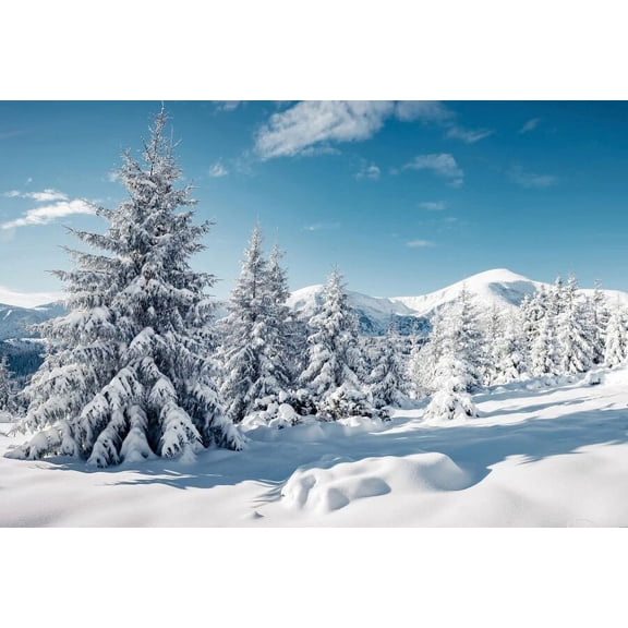 Winter Wonderland Snow Forest Mountain Natural Landscape Backdrop Kid Adult Portrait Photography Background Photo Studio