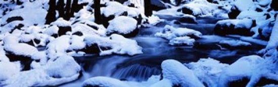 Winter Yosemite National Park CA Canvas Art - Panoramic Images (36 x 12)