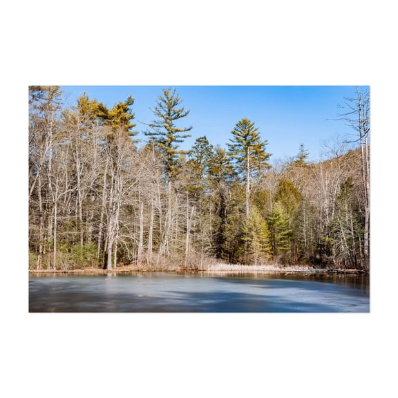 Winter at Long Pine Run - Fayetteville Pennsylvania Photography Forest Nature Landscape Winter Woodland Scenic Unframed Wall Art Print 4 x 6 inches