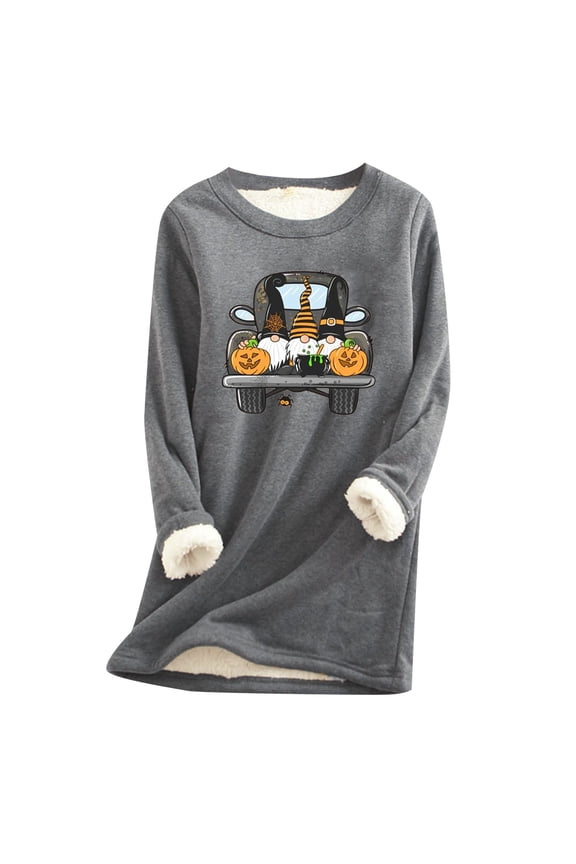 Winter clothing for women Ladies Thick Sweatshirt Loose Winter Plush Warm O Neck Warmer Top