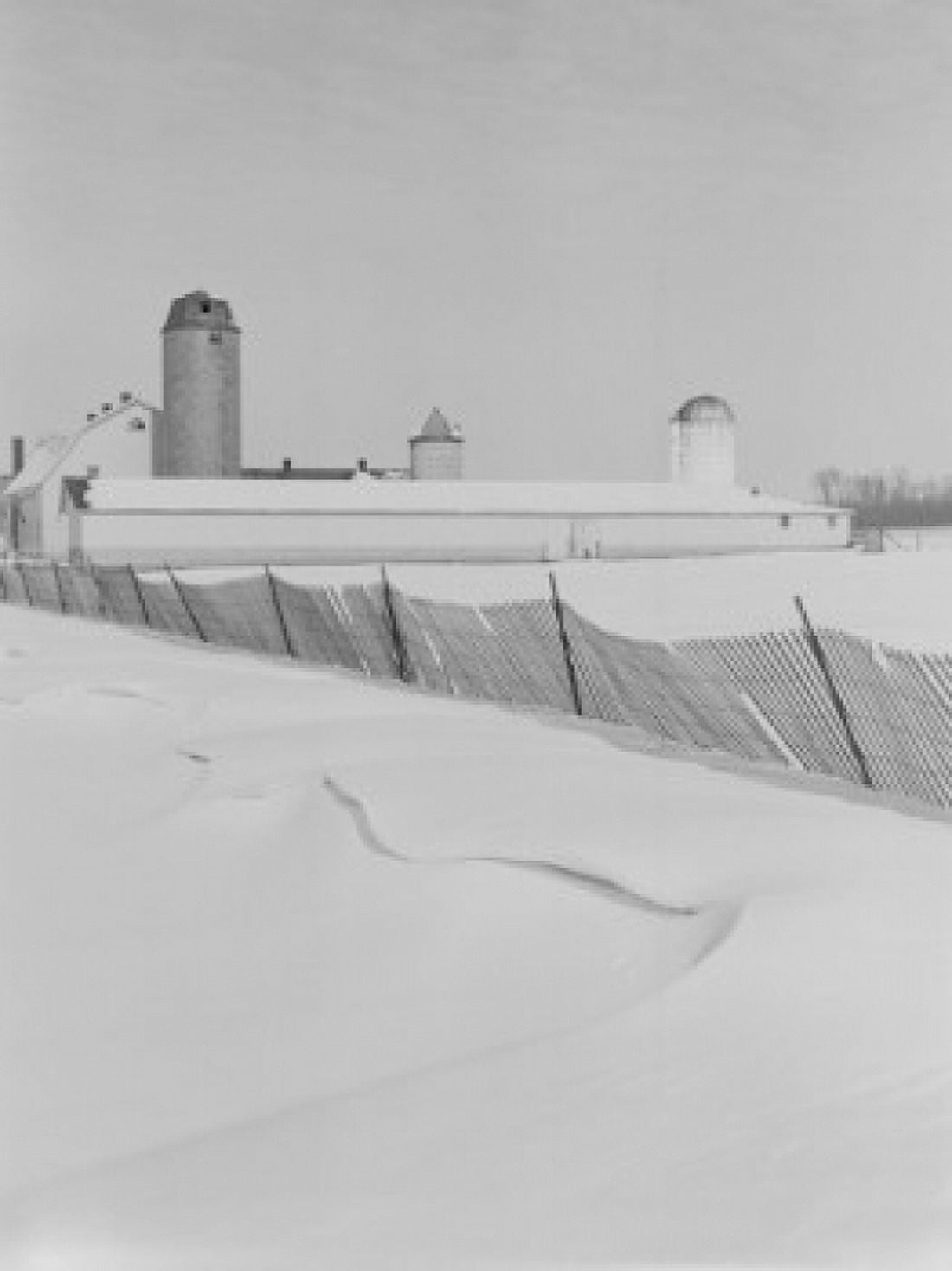 Winter farm scene Canvas Art - (24 x 36)