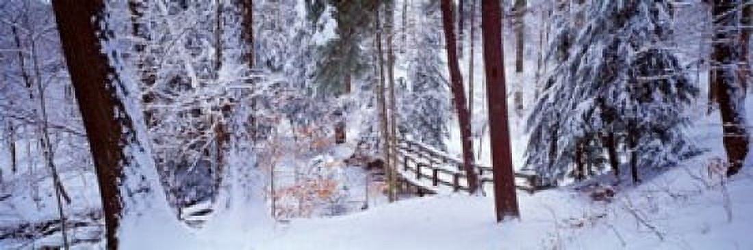 Winter footbridge Cleveland Metro Parks Cleveland OH USA Canvas Art - Panoramic Images (18 x 6)