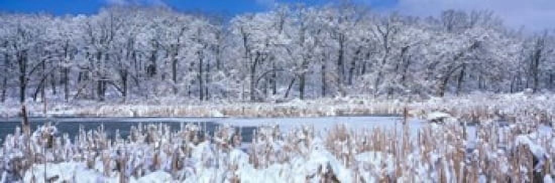 Winter in Illinois Canvas Art - Panoramic Images (37 x 12)