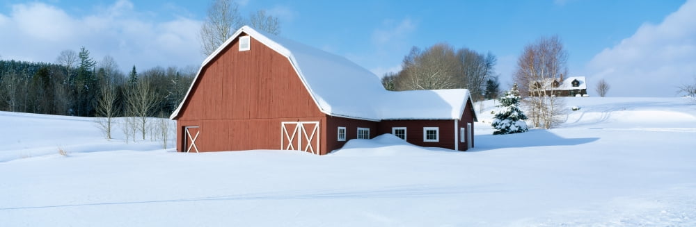 Winter in New England Red Barn in Snow South of Danville Vermont Canvas Art - Panoramic Images (36 x 12)