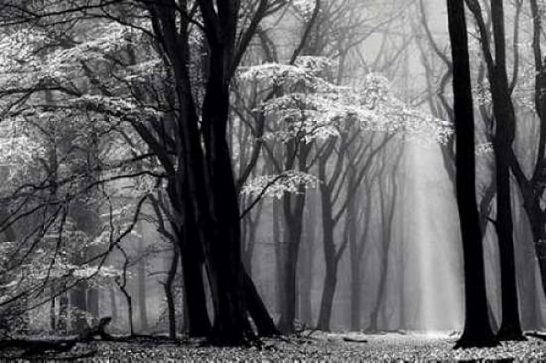 Winter is Coming Canvas Art - Lars Van de Goor (24 x 36)