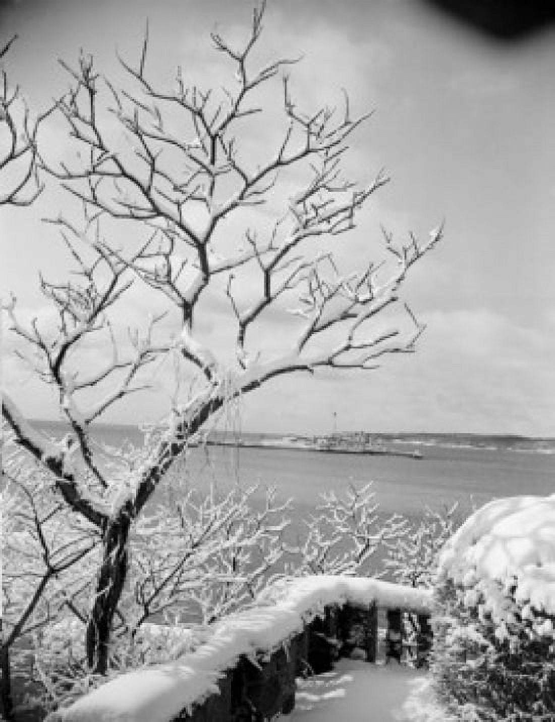 Winter landscape Canvas Art - (18 x 24)