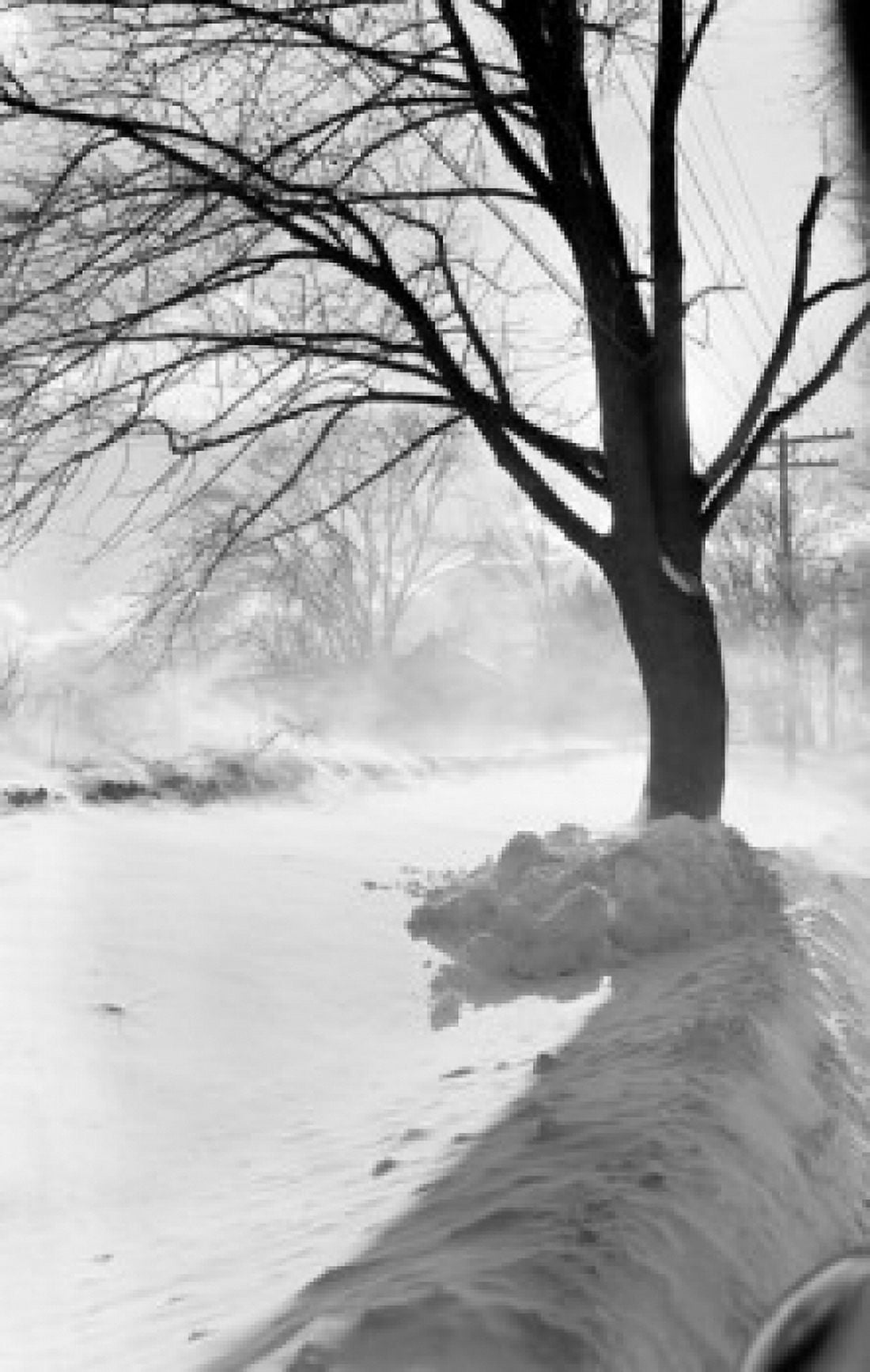 Winter landscape Canvas Art - (24 x 36)