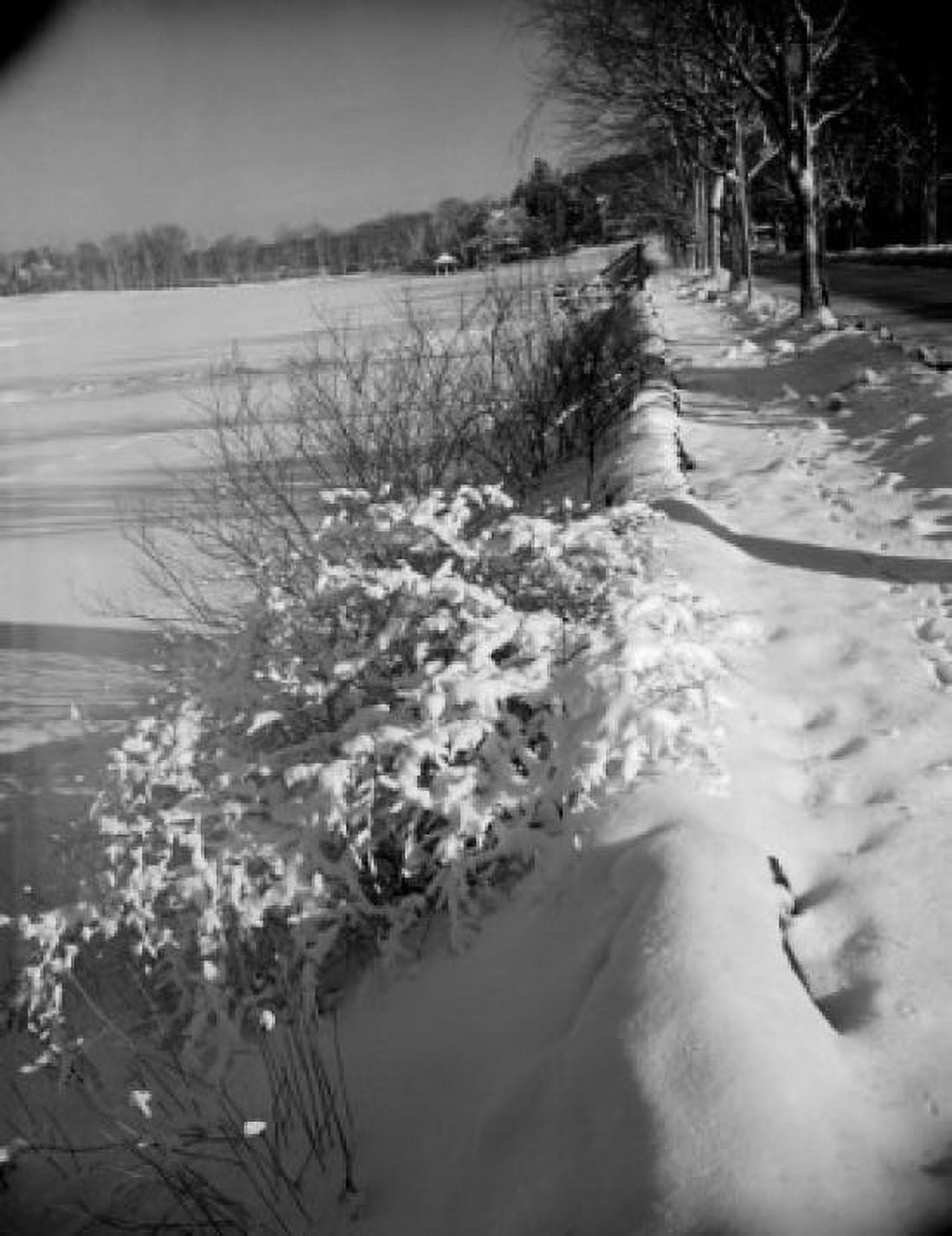 Winter landscape Canvas Art - (24 x 36)
