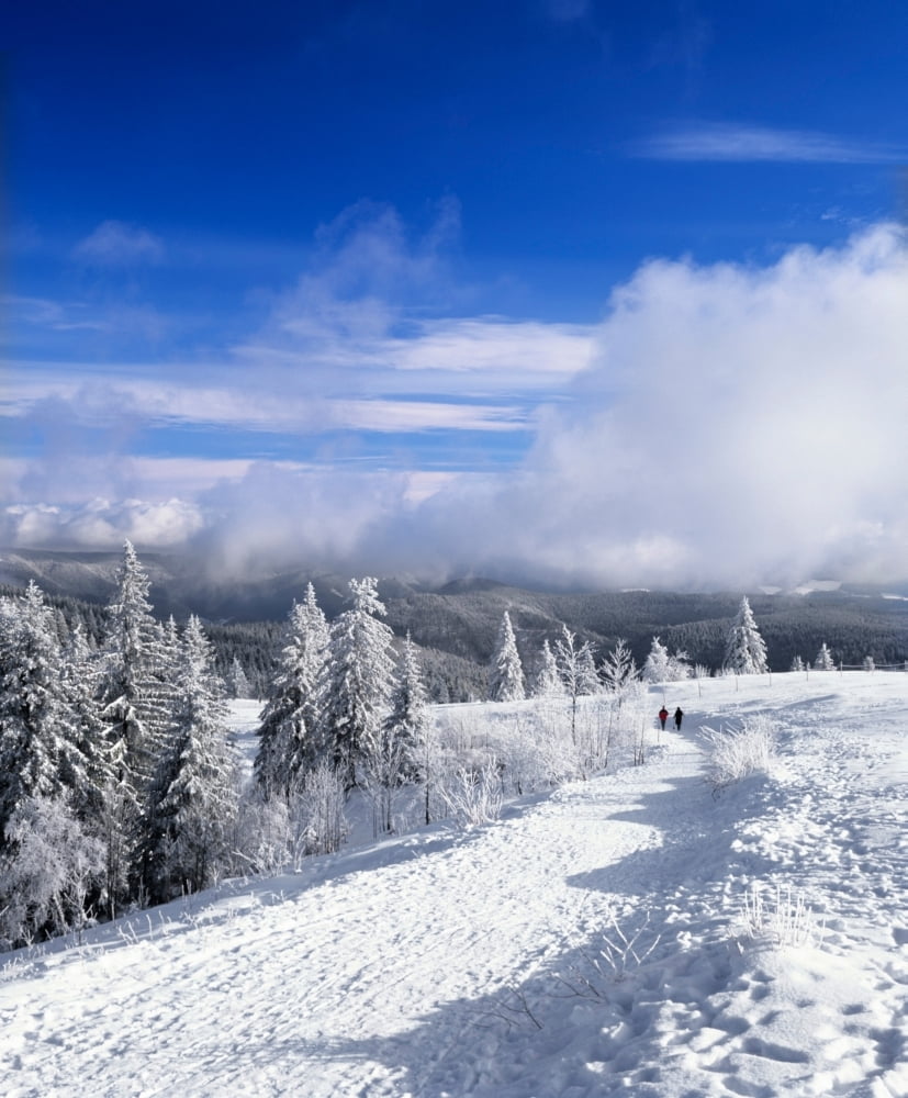 Winter landscape Kandel Mountain Black Forest Baden-Wurttemberg Germany Canvas Art - Panoramic Images (12 x 36)
