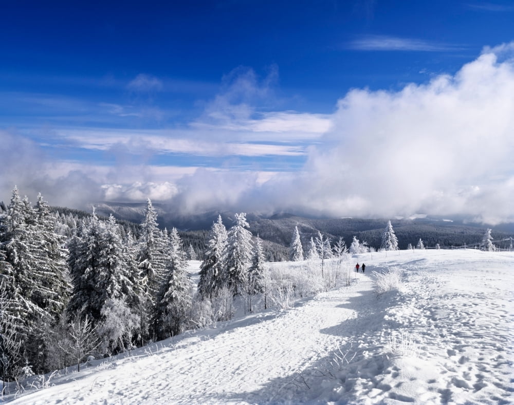 Winter landscape Kandel Mountain Black Forest Baden-Wurttemberg Germany Canvas Art - Panoramic Images (36 x 29)
