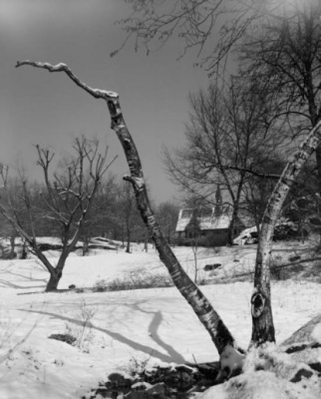 Winter landscape with church in the background Canvas Art - (18 x 24)