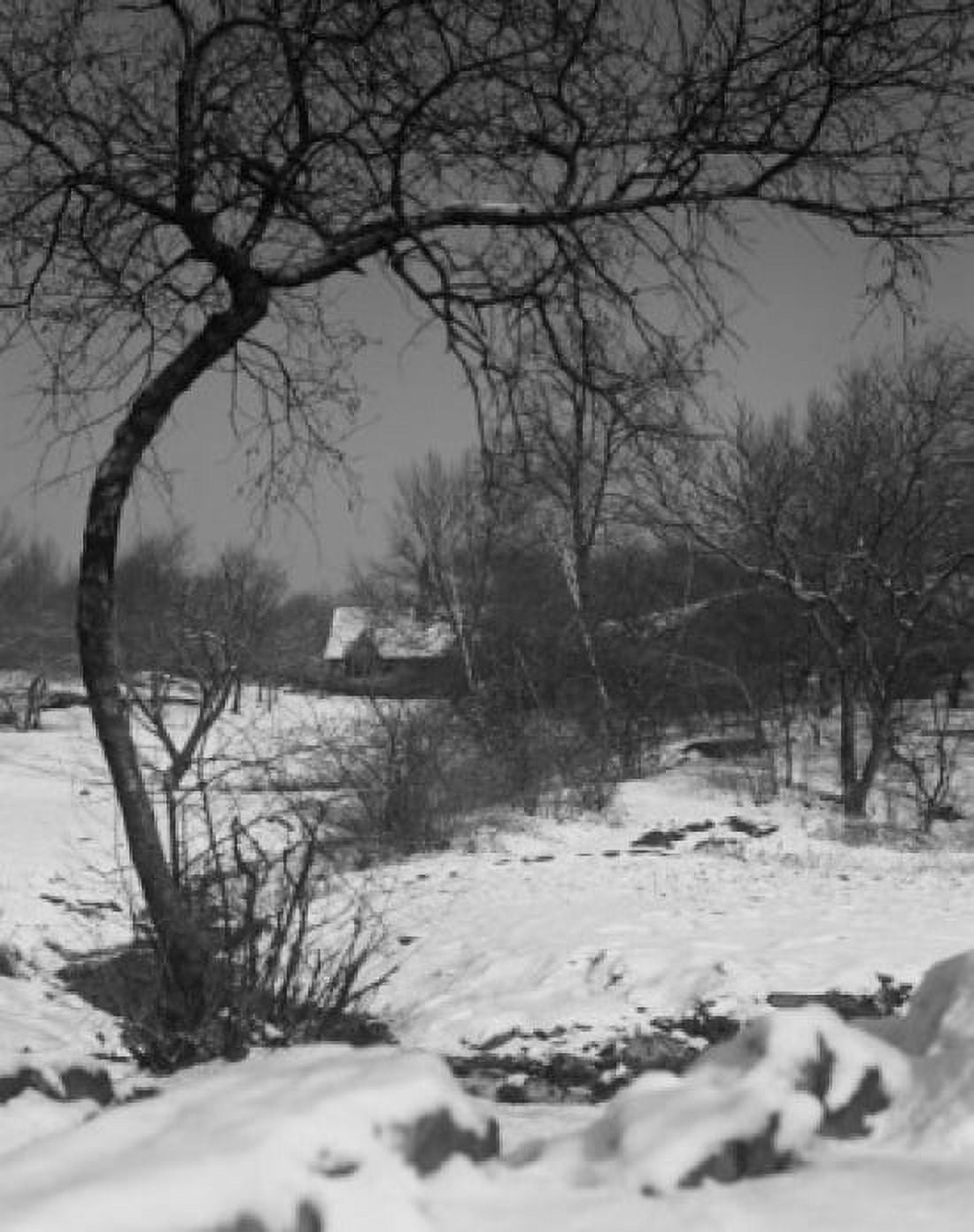 Winter landscape with house in the background Canvas Art - (24 x 36)