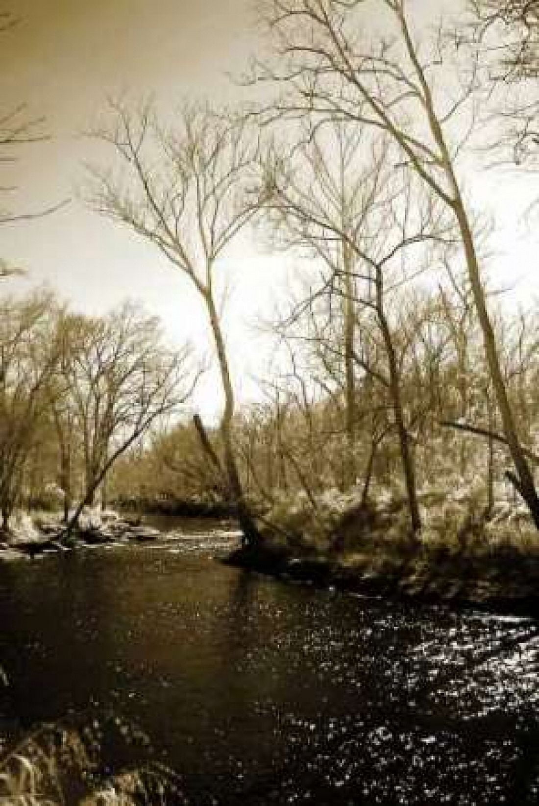 Winter on the Neuse River Canvas Art - Alan Hausenflock (12 x 18)
