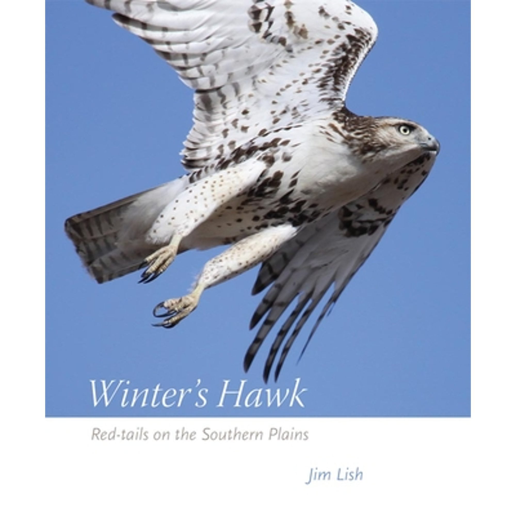Pre-Owned Winter's Hawk: Red-Tails on the Southern Plains (Paperback 9780806148359) by James W Lish