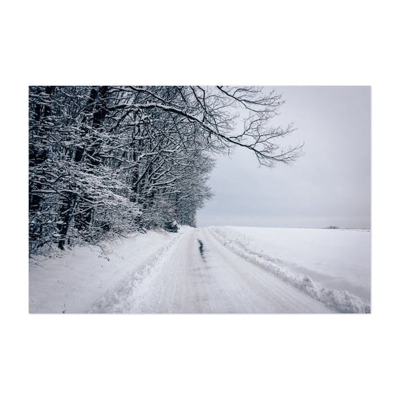 Winter's Silence - Maryland Photography Winter Snow Nature Landscape Forest Scenic Rural Unframed Wall Art Print 20 x 28 inches