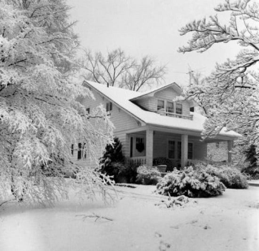Winter scene Canvas Art -  (24 x 36)