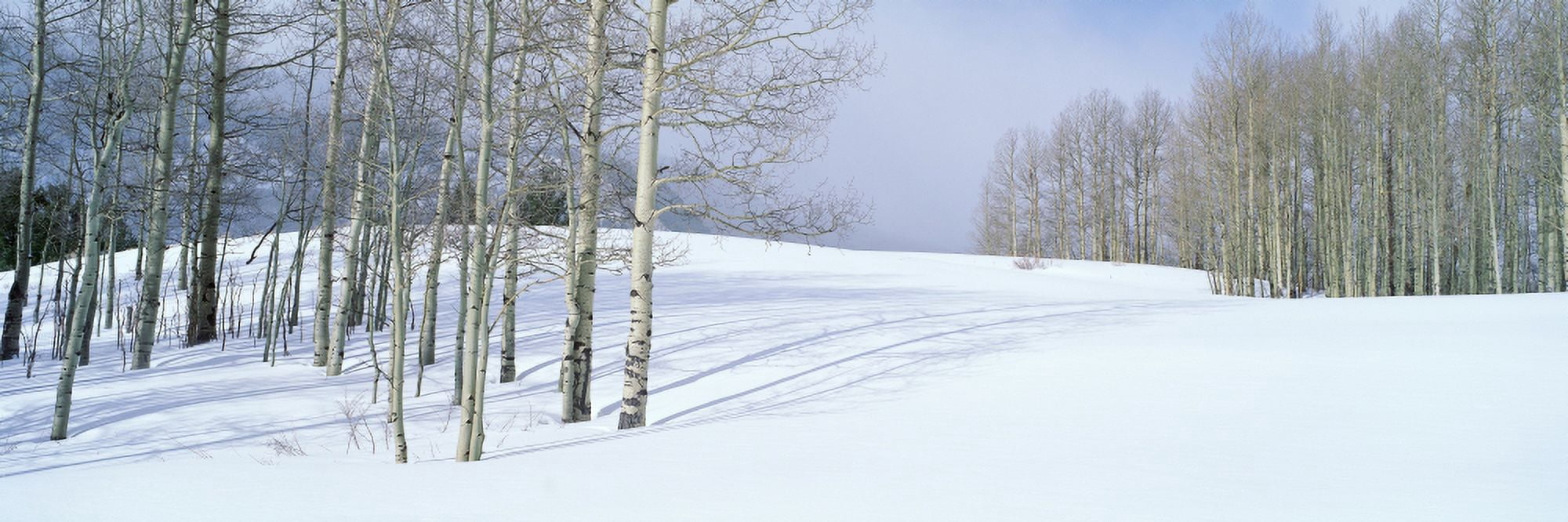 Winter scene Colorado Canvas Art - Panoramic Images (27 x 9)
