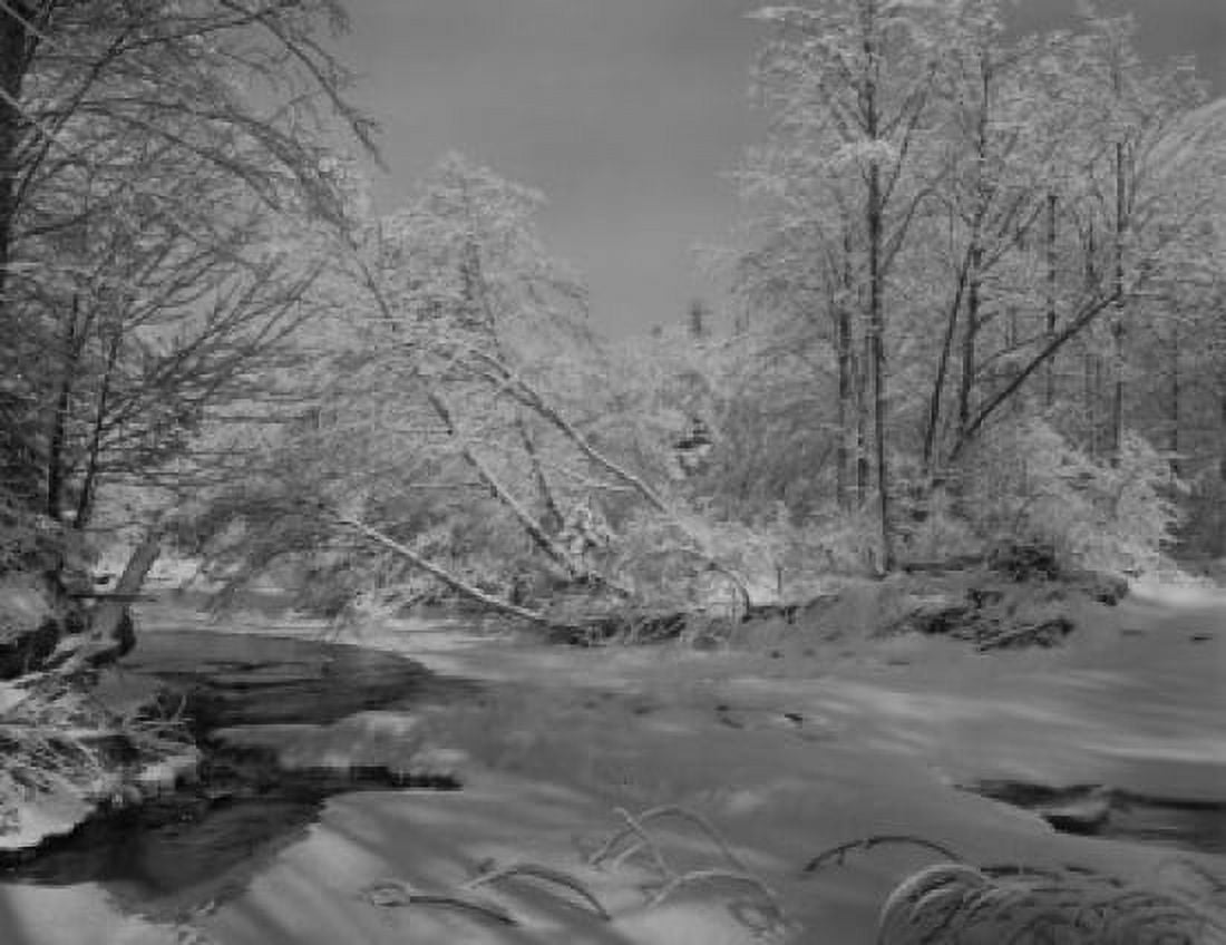 Winter scene in Cascade Mountains Canvas Art - (18 x 24)