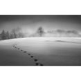 thumbnail image 1 of Winter scenery Poster Print - Larry Deng, 1 of 3