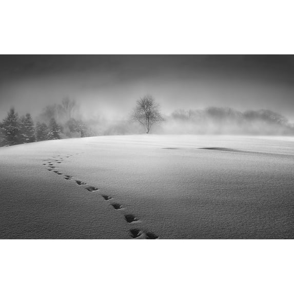 Winter scenery Poster Print - Larry Deng