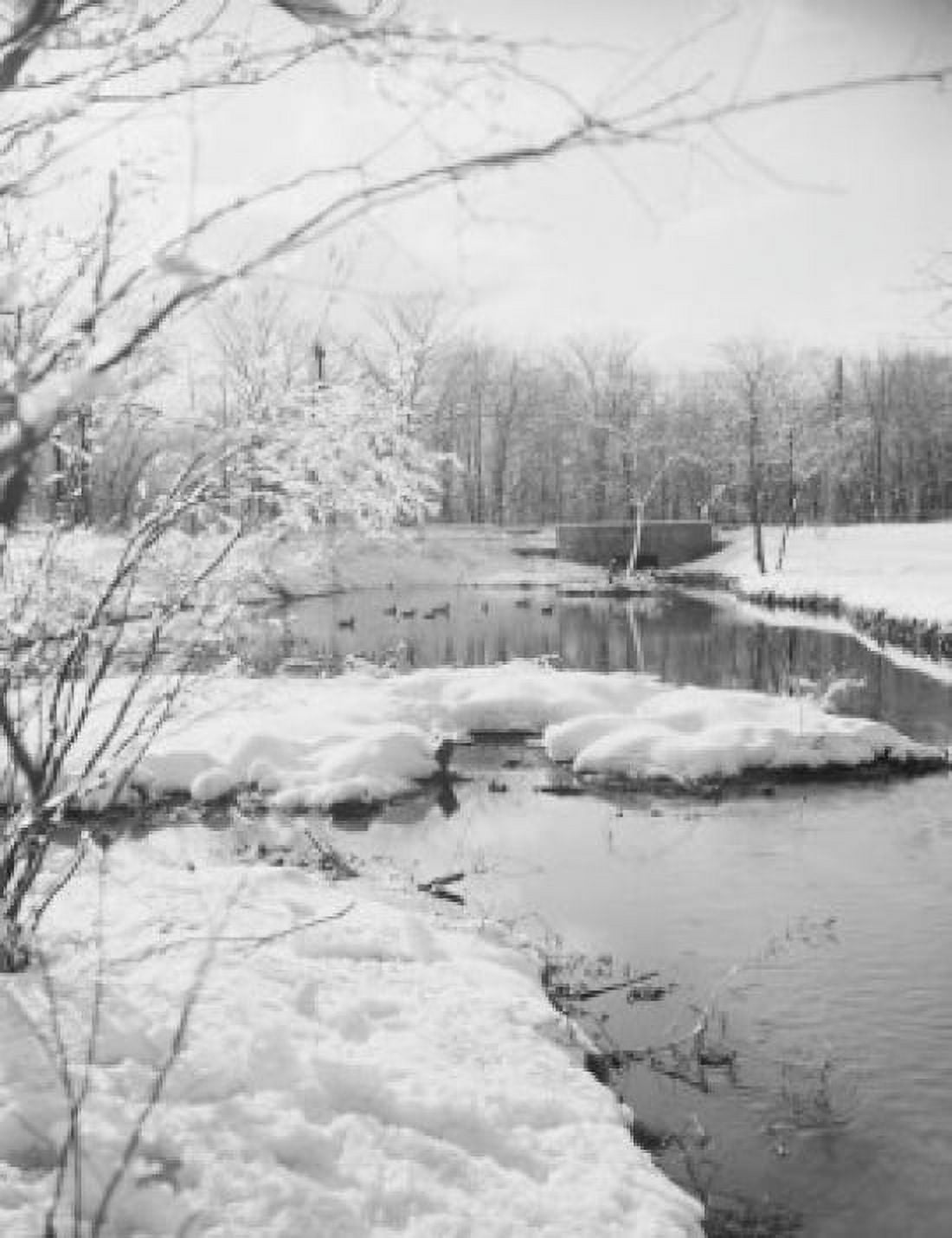 Winter scenic Canvas Art - (18 x 24)