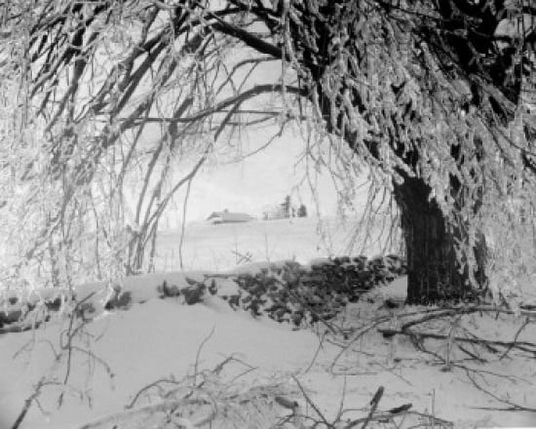 Winter scenic Canvas Art - (24 x 36)