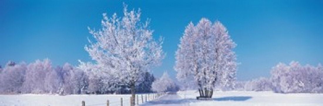 Winter scenic Germany Canvas Art - Panoramic Images (36 x 12)