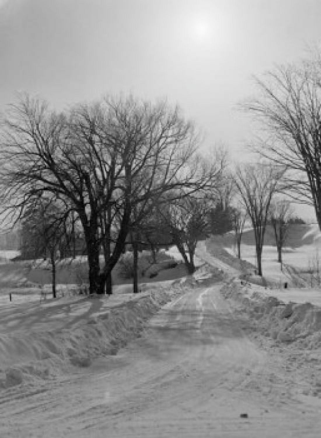 Winter scenic at sundown Canvas Art - (24 x 36)