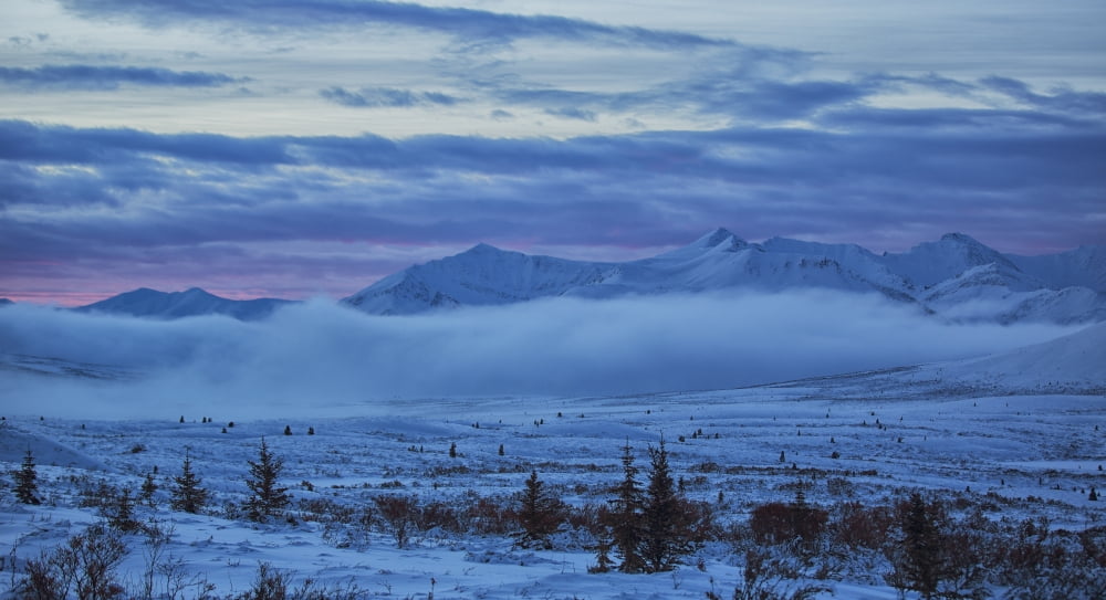 Winter sunrise along the Dempster Highway Yukon Canada Canvas Art - Robert Postma Design Pics (42 x 22)
