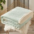 Winter thickened coral blanket quilt spring and autumn bed single