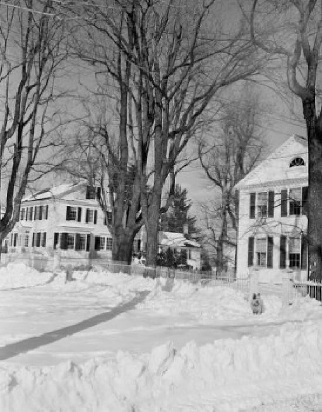 Winter town with bare trees and snow Canvas Art - (24 x 36)