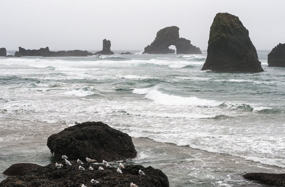 Winter weather comes to the Oregon coast Cannon Beach Oregon United States of America Canvas Art - Robert L Potts Design Pics (38 x 24)