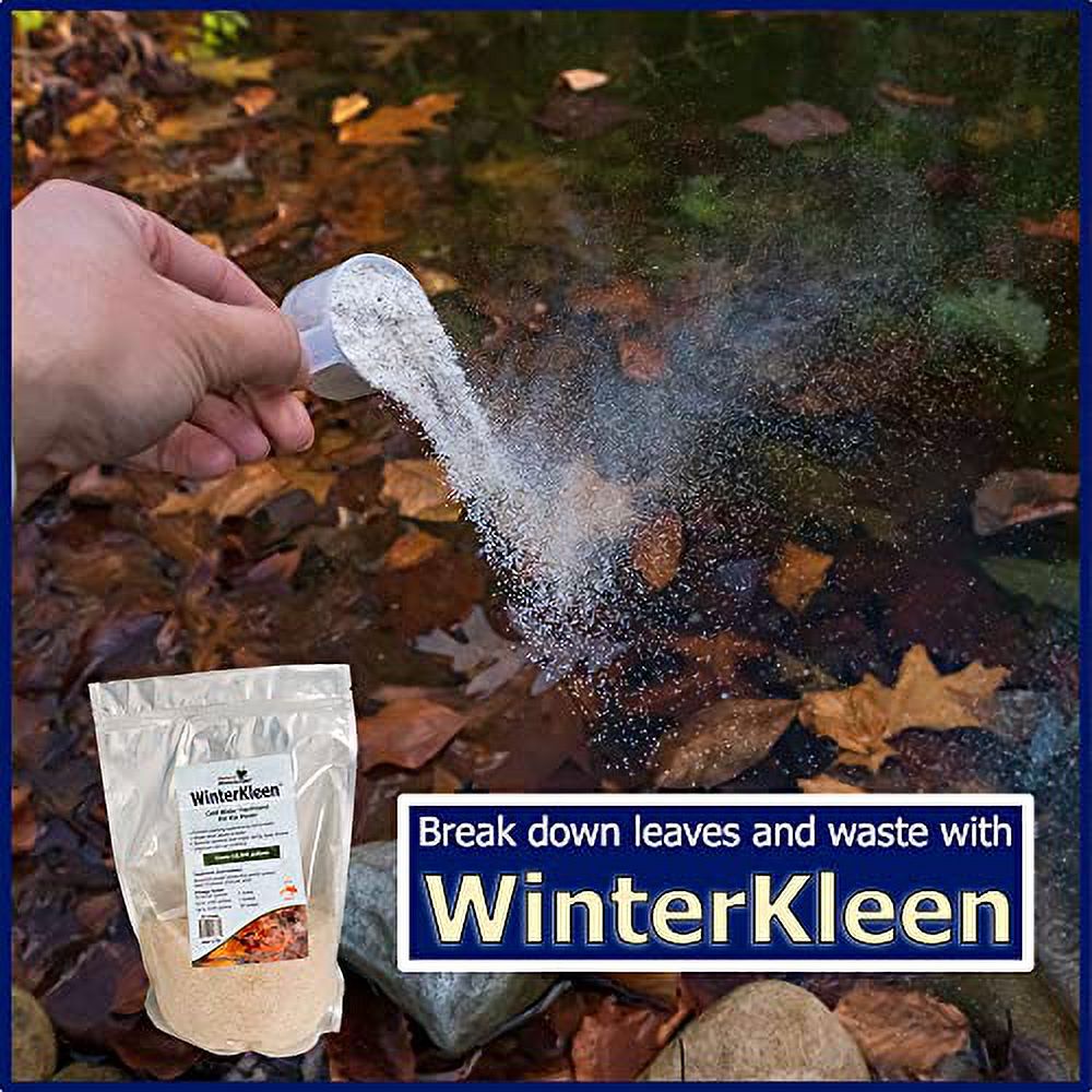 WinterKleen Fall & Winter Bacteria for Ponds Koi Pond Winterizer, Leaf Digester, Natural